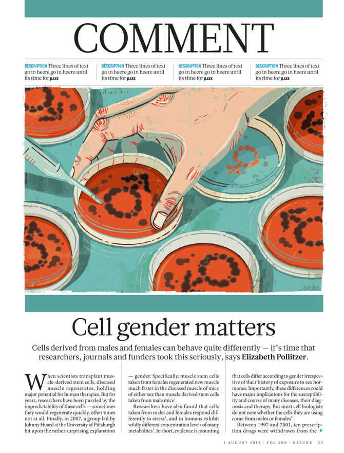 nature magazine cell gender bias eva bee illustration ideas
