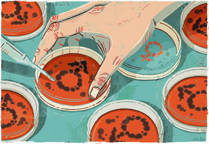 nature magazine cell gender bias eva bee illustration ideas